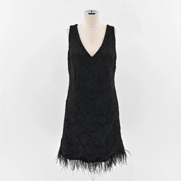 Nicole Miller Black Lace Feather Trim V-Neck Sleeveless Mini Flapper Dress Sz 8 - Picture 2 of 11
